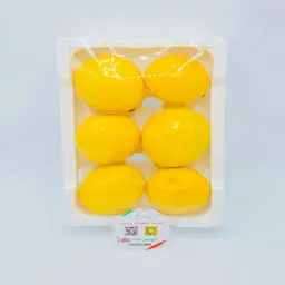 Lemon Cork Plate